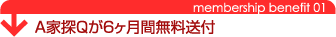 A家探Qが6ヶ月無料送付